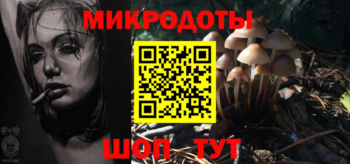 Самара  Галлюциногенные грибы GOLDEN TEACHER  Вход с VPN 