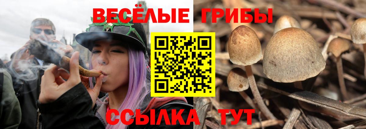 Псилоцибиновые грибы Magic Shrooms Самара