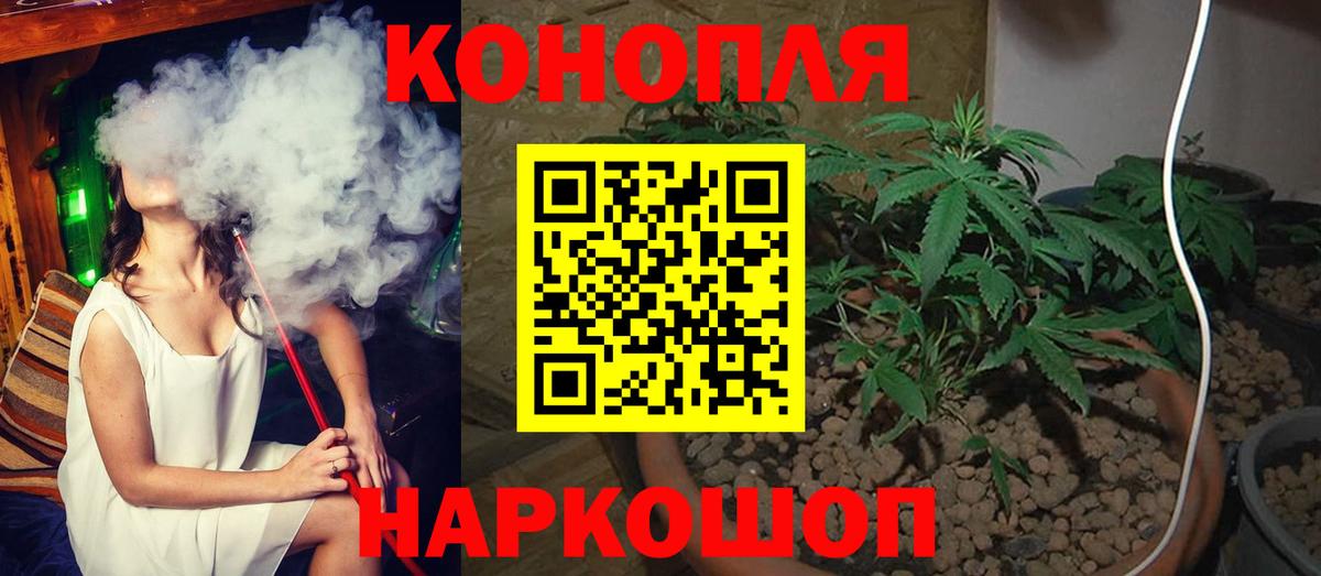 Канабис OG Kush  Вход с VPN  Каннабис ГИДРОПОН  Самара  Марихуана White Widow 